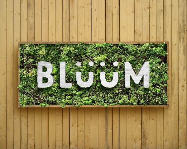 Bluum green roof garden stores