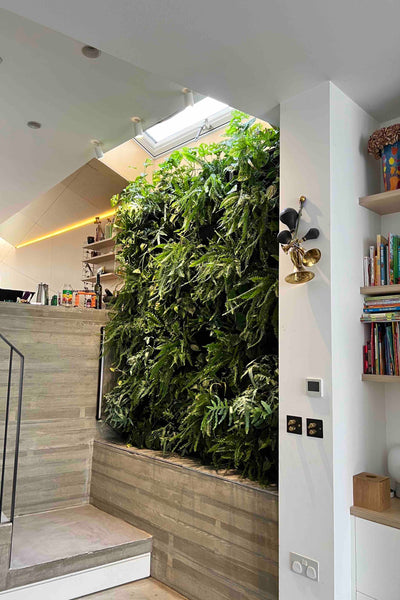 Indoor or outdoor living wall planting, using the vertical garden planters