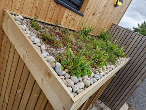 Green roof bin store planting idea