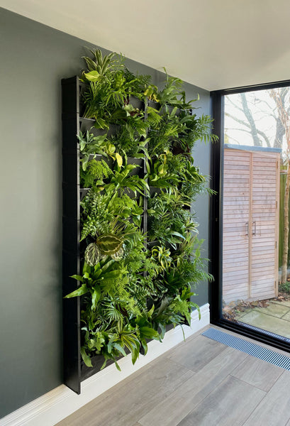 An indoor wall with vertical garden, living wall planters for a display of house plants