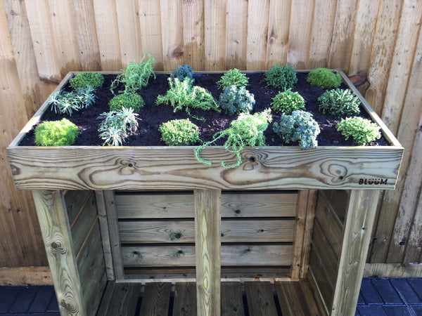 Sedum planting ideas for a green roof log, bin, reycling box or bike store