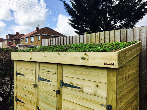 Wheelie bin and recycling bin box store with green roof planter