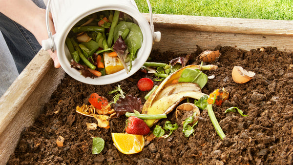 Home composting, making compost from your food and garden waste