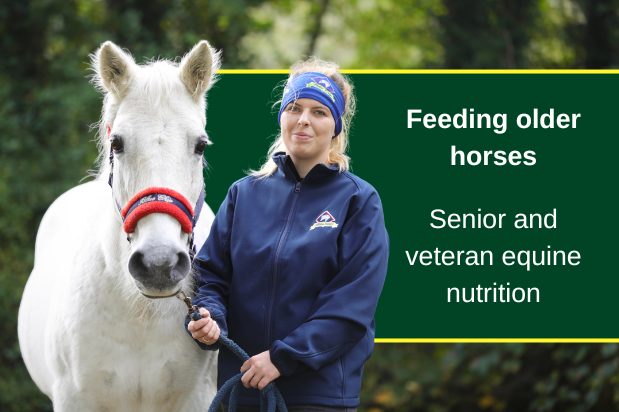 Blue_Chip_Feed_Feeding_Older_Horses_Senior_and_Veteran_Equine_Nutrition