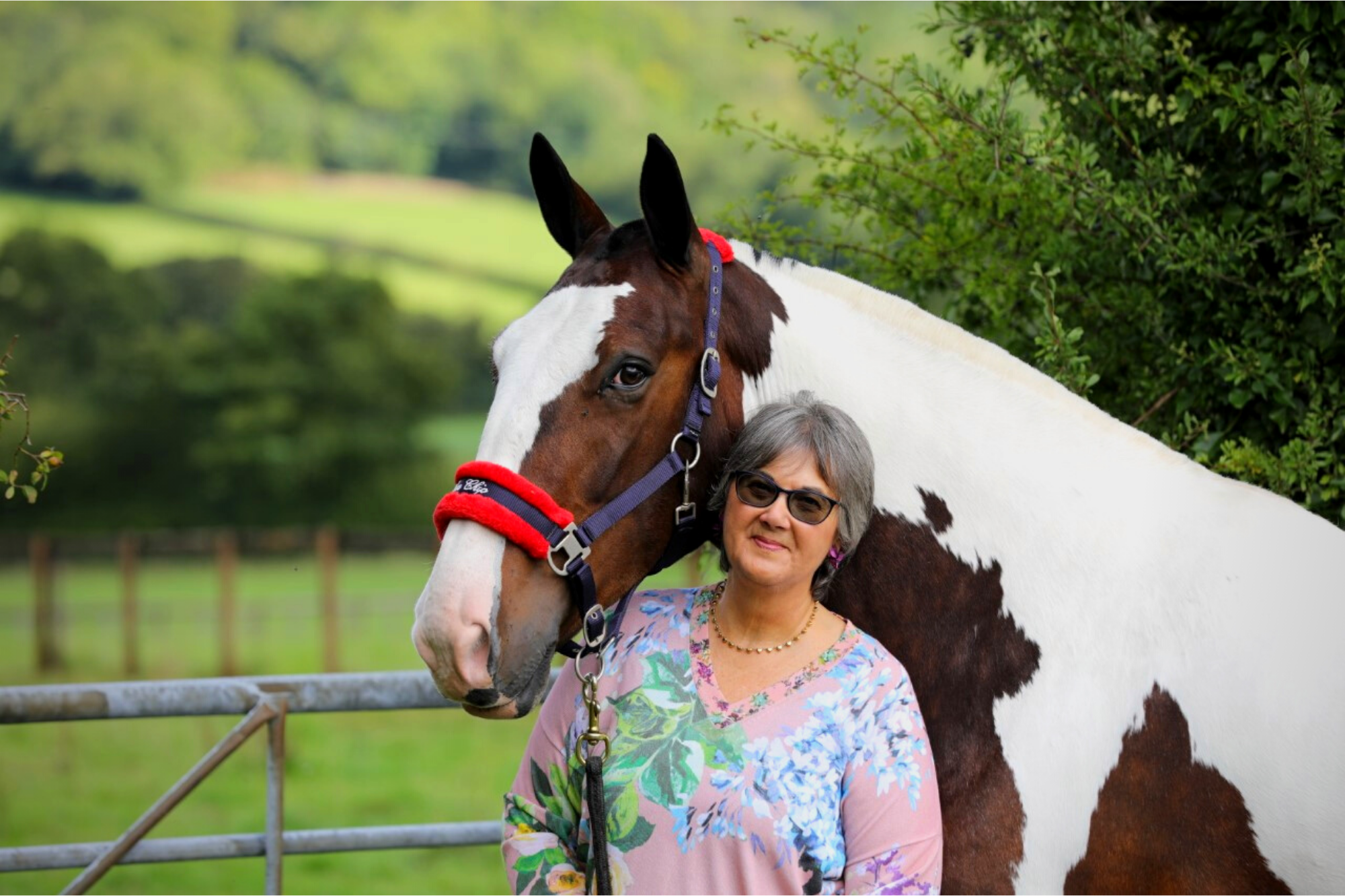 British_Showjumping_26_years_sponsorship_Blue_Chip