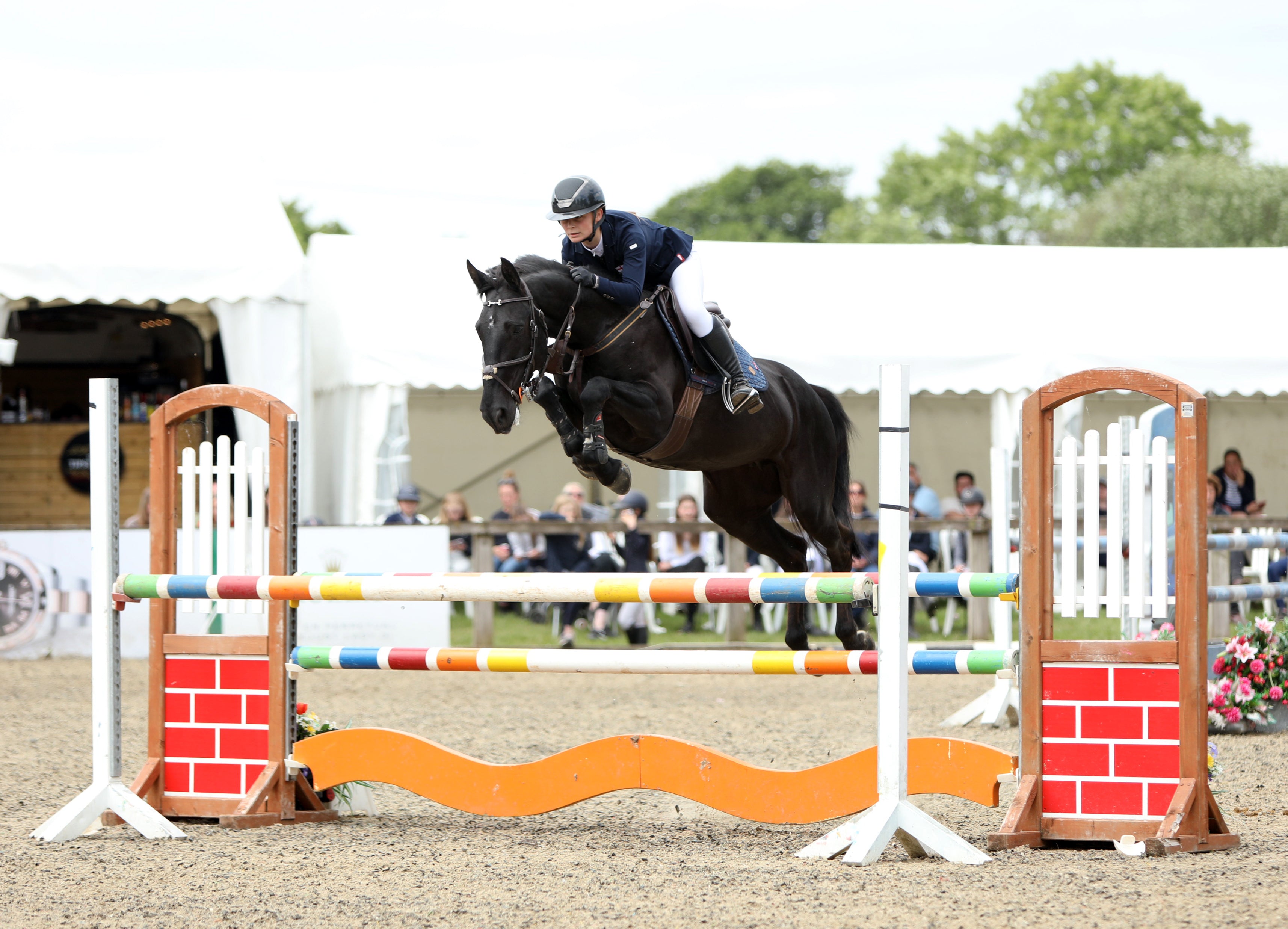 Blue_Chip_Pony_Newcomers_Showjumping_Harriet_Hodge_Queen_Mac_South_View