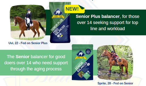 Senior_Plus_vs_Senior_Feed_Balancer_Feeding_Older_horses