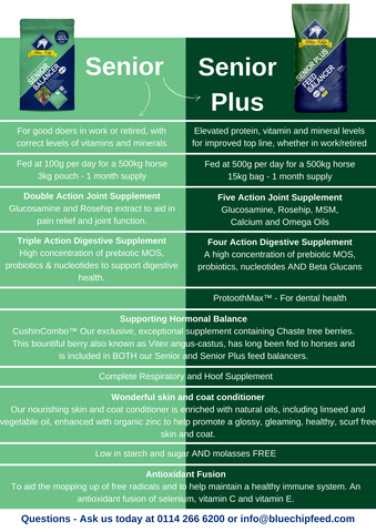 Spotlight topic Senior vs Senior Plus 2