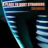 A PLACE TO BURY STRANGERS "Hologram" LP