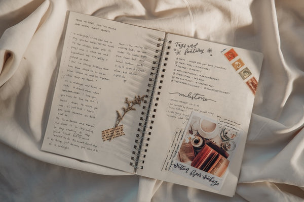 Dani's early journal spreads