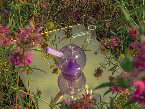 Lavender Globe Dab Rig in flower field. 
