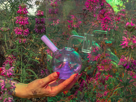 Hand holding Lavender Globe Dab Rig in flower field. 
