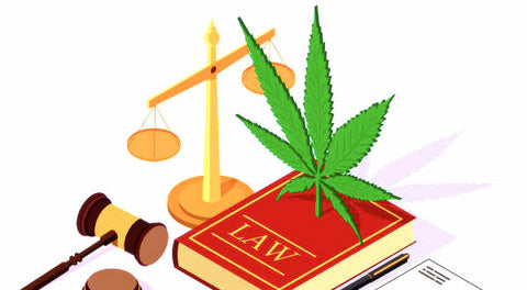 Weed and Justice