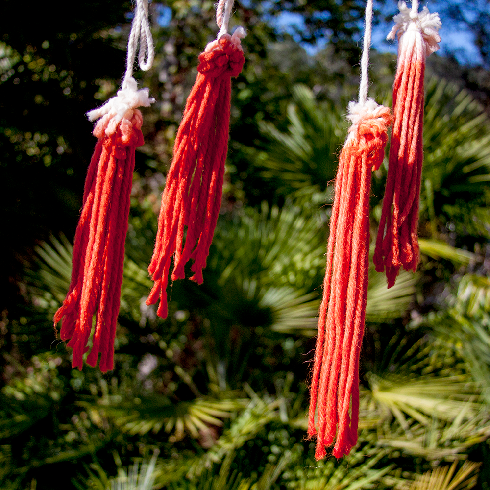 How to dye fabric red with a drought tolerant plant you can grow yours ...