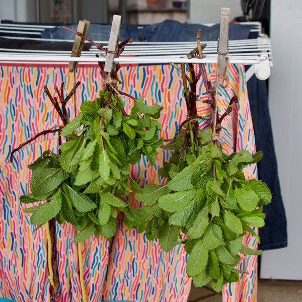 herb bouquet gift