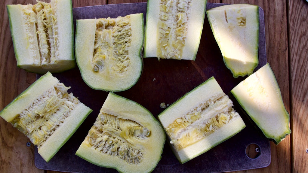 harvesting zucchini seeds