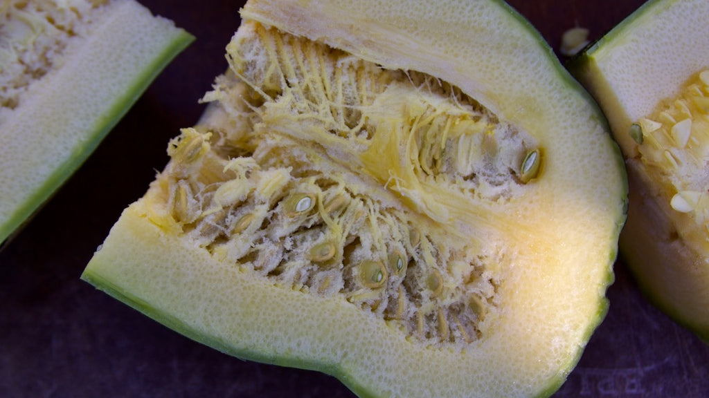 harvesting zucchini seeds