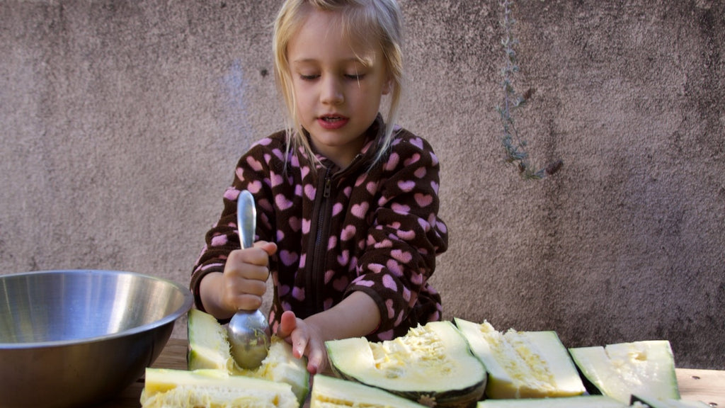 harvesting zucchini seeds