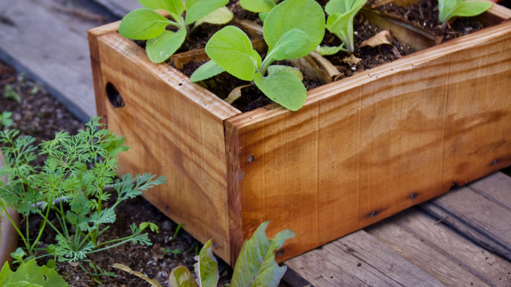 reclaimed wood planter for seedlings