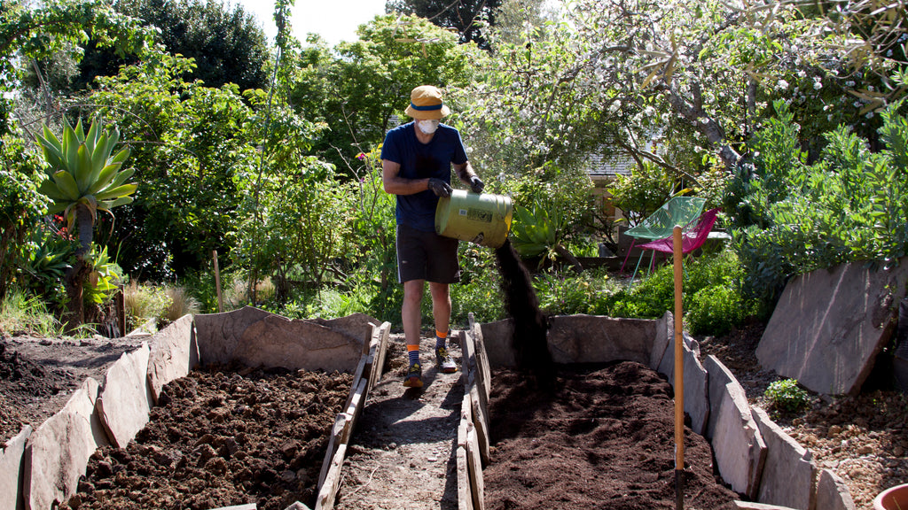 amending veggie beds