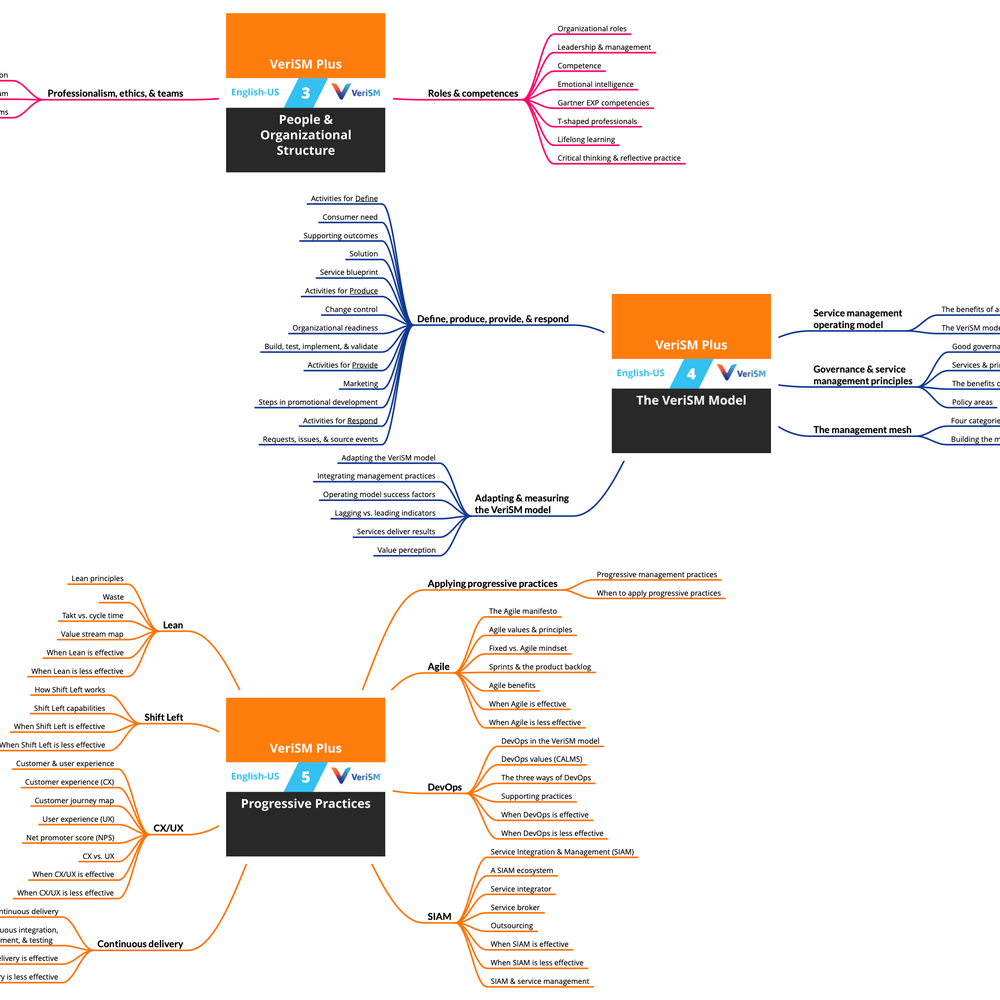 VERISMF Valid Dumps Demo