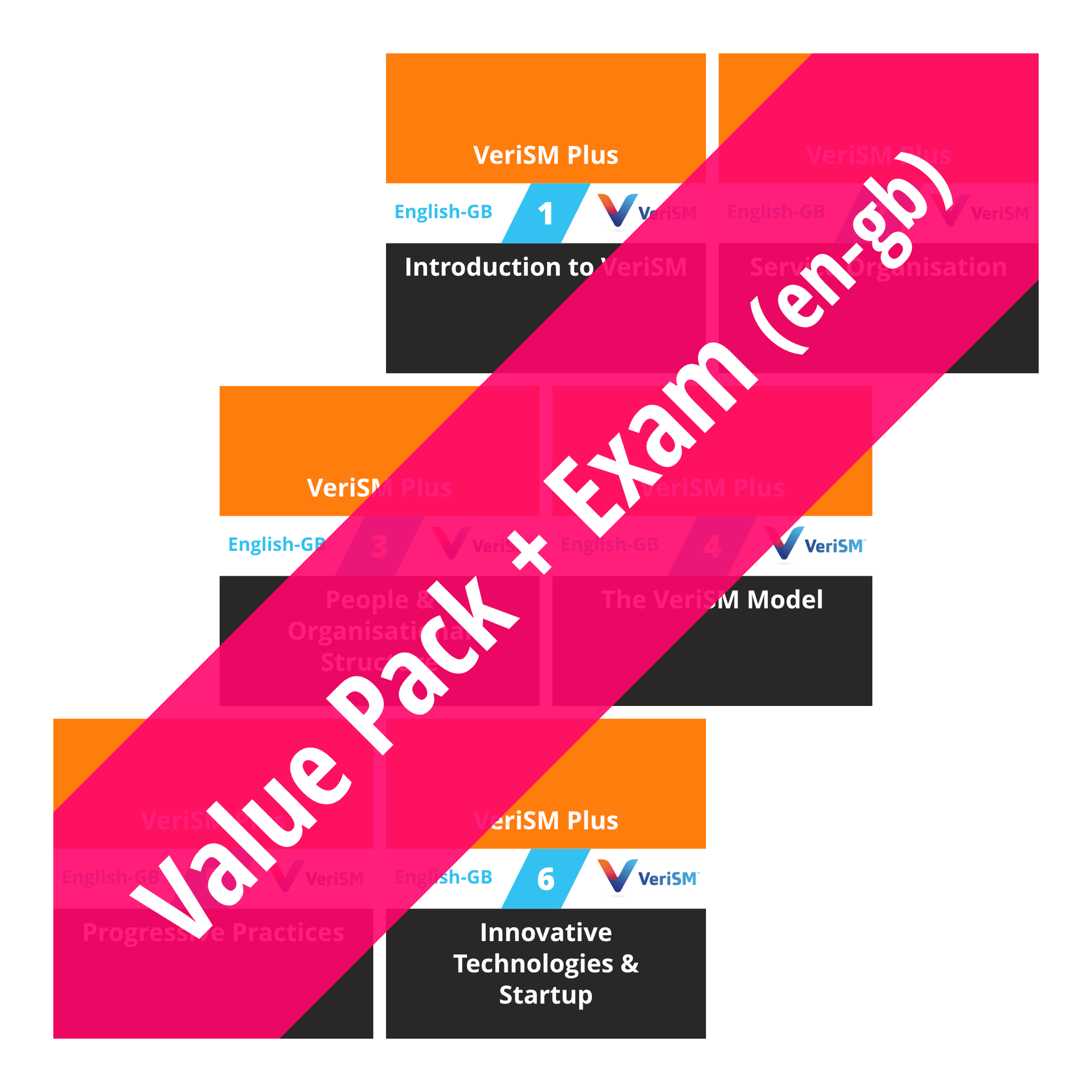 Valid VERISME Exam Bootcamp