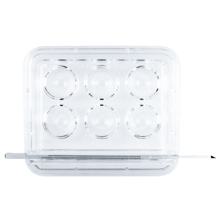 Oosafe 6 Well Dishes For Ivf Icsi Embryo Culture Cryopreservation Ivf Store
