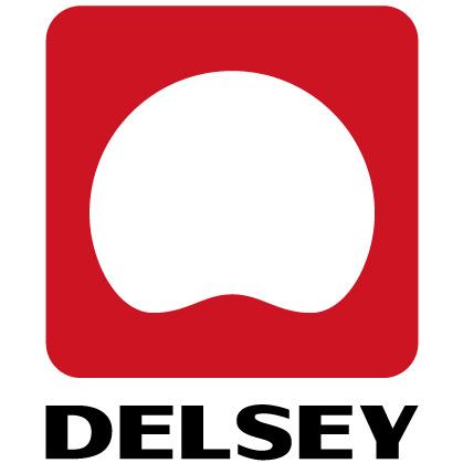 delsey luggage logo