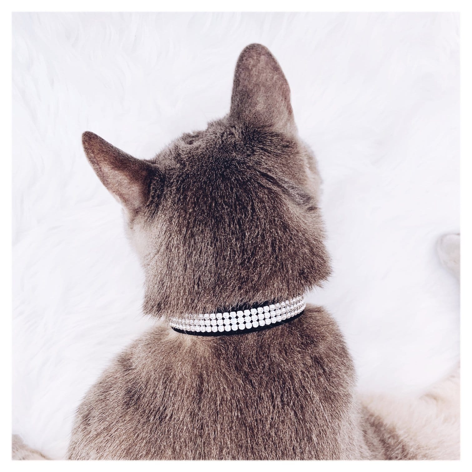 kanso collars