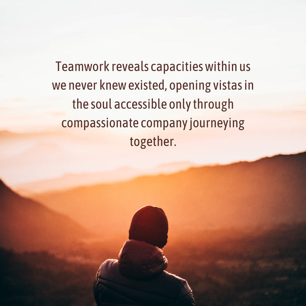 we as a team quotes