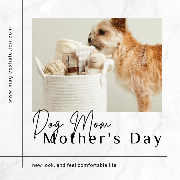 Celebrate National Dog Mom Mother's Day – Top 5 Best Gifts for Puppy -  12/2023 - Magic Exhalation