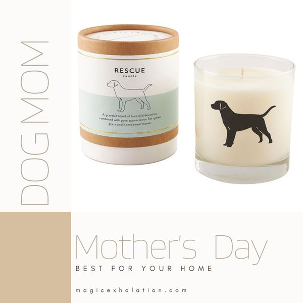 To Mom, From Dog: Mother's Day Gift Ideas for Dog Moms - The Dogington Post