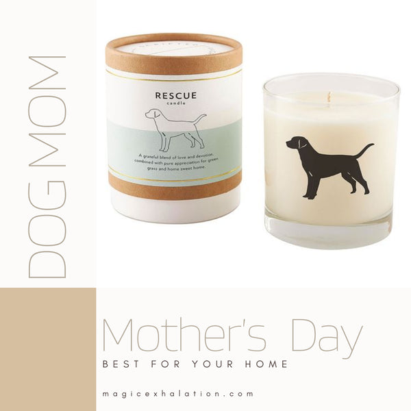 Mother's Day Gifts for the Dog Mom in Your Life