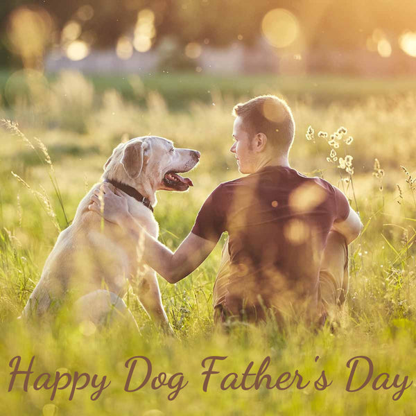 Happy Father's Day To The Best Dog Dad Ever - Gift For Father Dog Pers -  newsvips