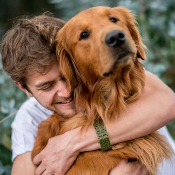 happy fathers day images with dogs