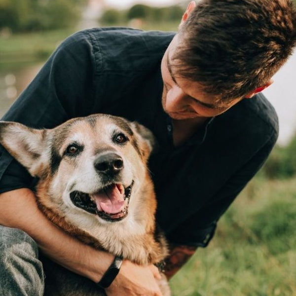 father's day animal pictures