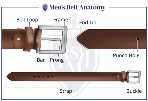 Anatomy Of belt