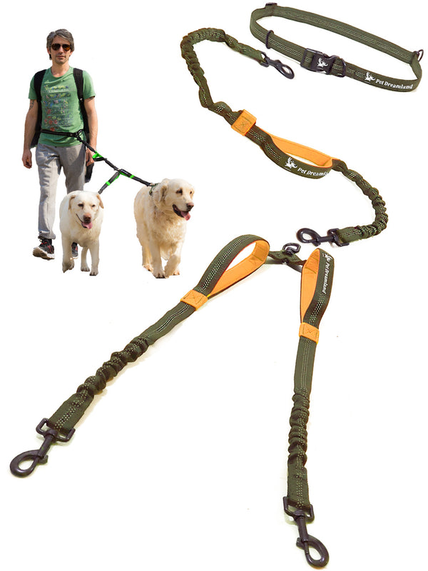 multiple dog walking belt