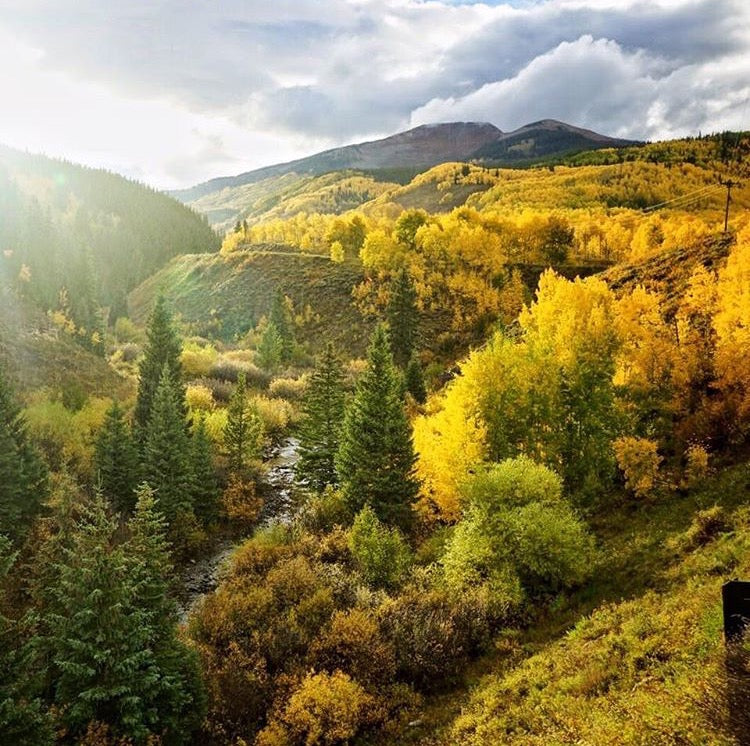 file-oct-16-4-38-34-pm