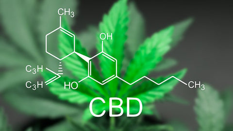 Image of the chemical structure of CBD (cannabinoid) against an out of focus background of hemp leaves.