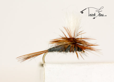 5 Must Have Dry Flies in Canada –  Inc.