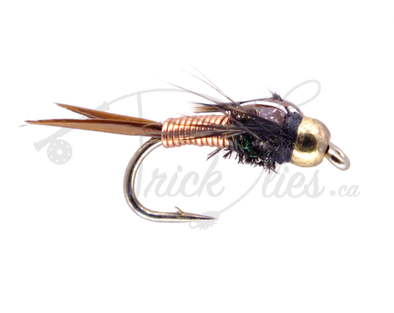 12 Flies Bead Head Prince Nymph Fishing Flies - Mustad Signature Fly Hooks  (Assortment), Wet Flies -  Canada
