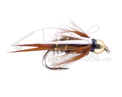 Fly Fishing Flies for Trout Tungsten Bronzeback Nymph Bead Head Flies and Fishing  Lures for Fishermen 3 Pack of Premium Flies -  Canada