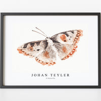 Johan Teyler - A butterfly