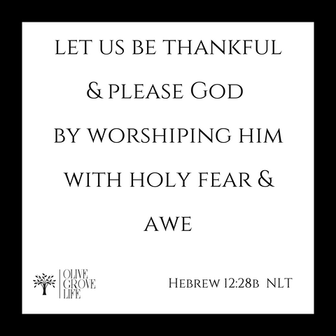 Let us be thankful. Let us please God and worship Him with Holy fear and awe. Hebrews 12:28 NLT