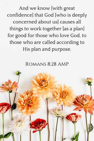 Romans 8:28 AMP