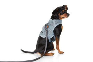 Sleepypod Martingale Calming Harness for Dogs - Mr. Peanut's Pet Carriers - Martingale Harness For Dogs