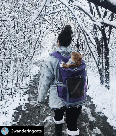 Vancouver BackPack