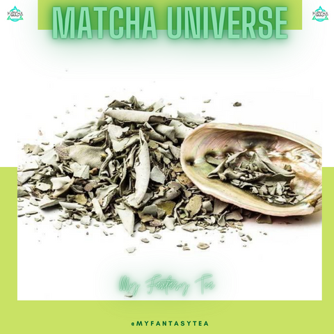 Loose White Sage with Red Abalone Shell Vibe with the Universe, Matcha Universe x M Fantasy Tea
