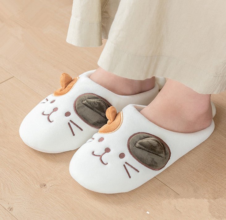 cat slippers